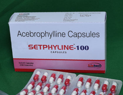 setphylicne-100